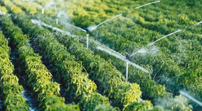 Doğu Anadolu Projesi Bölgesinde 13 Milyar Lira Destekle 2 Binin Üzerinde Proje Hayata Geçirildi