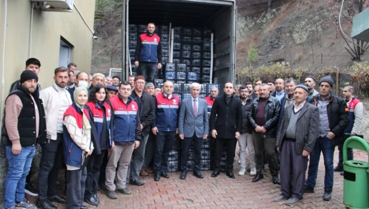 “İskilip Kendi Çilek Fidesini Kendi Üreten Bir İlçe Olmalı”