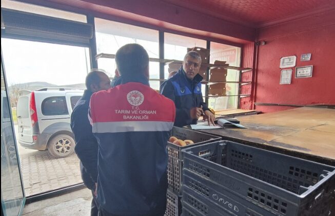 İskilip’te Ekmek Fırınlarına Yönelik Gıda Denetimleri Sürüyor