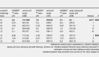 2025 III. Çeyrek İç Turizm Raporu