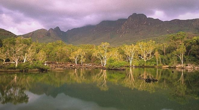 Avustralya Okaliptüs Ormanlarının Geleceği İklim Değişikliği Altında