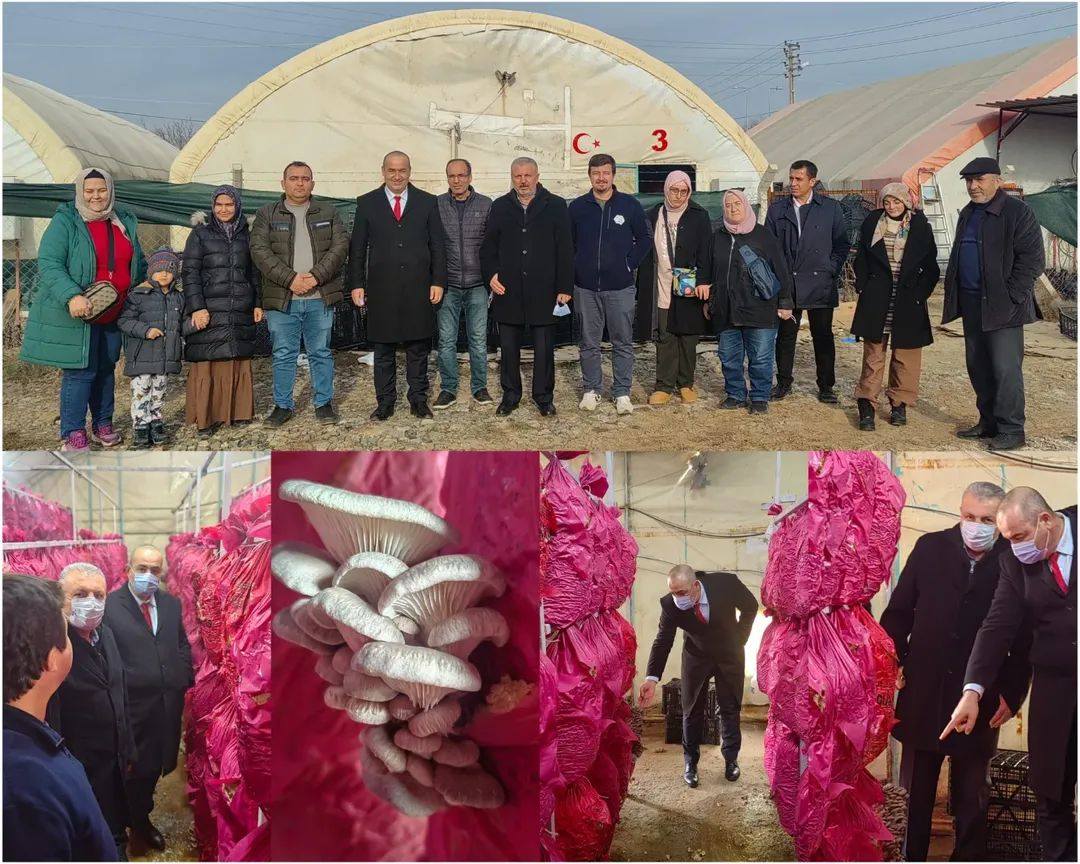 Bahşılı Halk Eğitimi Merkezi'nde Mantarcılık Kursu ve Uygulamalı Ziyaret Bahşılı Halk Eğitimi Merkezi'nde Mantarcılık Kursu ve Uygulamalı Ziyaret