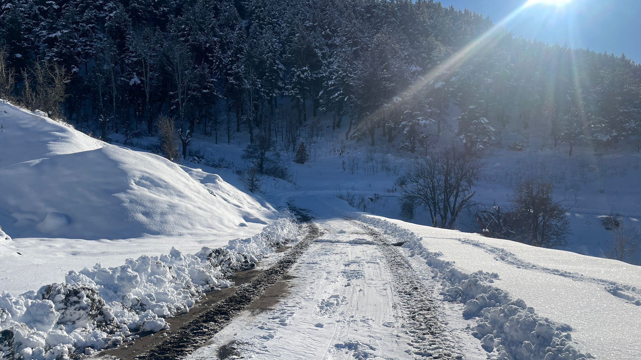 Giresun'da Kar Nedeniyle 521 Köy Yolu Ulaşıma Kapandı, Okullara Ara Verildi Giresun'da Kar Nedeniyle 521 Köy Yolu Ulaşıma Kapandı, Okullara Ara Verildi