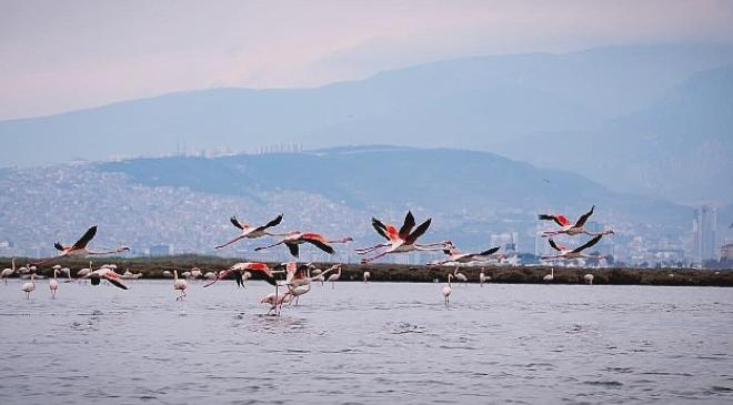 İZDENİZ Yarıyıl Tatilinde İzmir’de Doğa, Kültür ve Deniz Turları Sunuyor