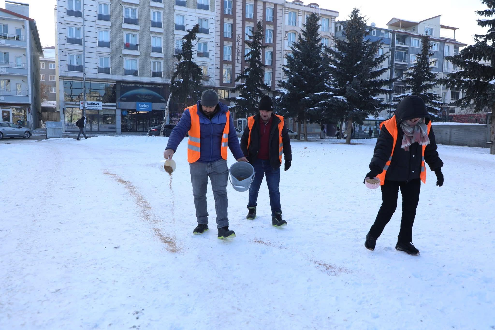 Kars Belediyesi Kuşların Zorlu Kış Koşullarında Hayatta Kalması İçin Yemleme Çalışmaları Yapıyor Kars Belediyesi Kuşların Zorlu Kış Koşullarında Hayatta Kalması İçin Yemleme Çalışmaları Yapıyor