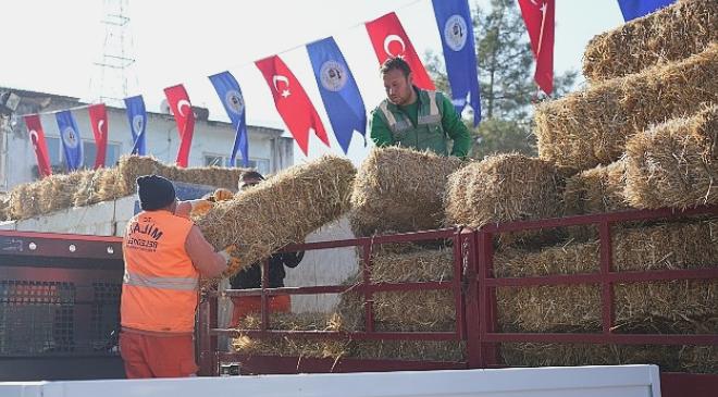 Milas Belediyesi Üreticilere Ücretsiz Yem Desteği Sağladı
