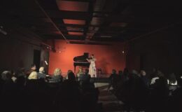 Uludağ Üniversitesi Öğrencisi Elif Çalışan Nilüfer Belediyesi MEM Genç Sahne’de Konser Verdi